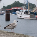 Schleswig Holstein Ostsee 09_2015 KA7_5788 als Smartobjekt-1 Kopie